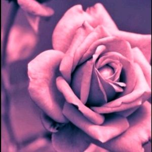 Meet your Posher, Raquel